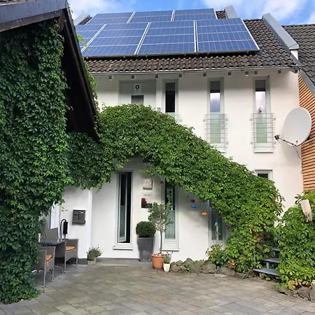 Kueken * 温特贝格