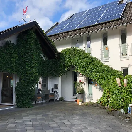 Kueken