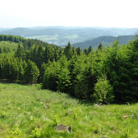 Kueken