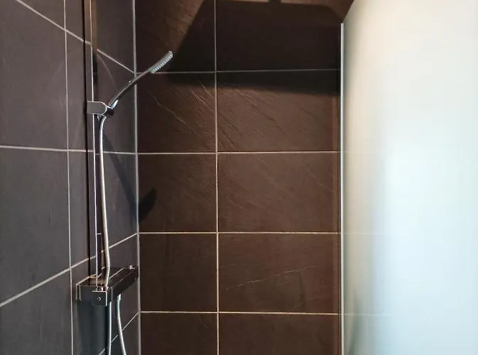 Küken Daire Winterberg