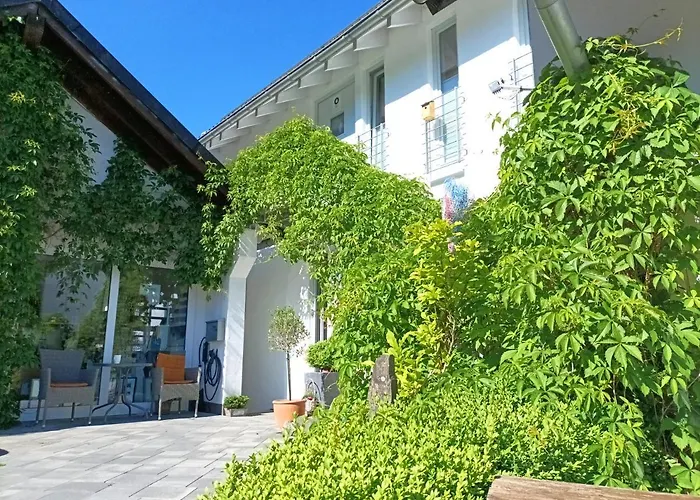 Küken Daire Winterberg